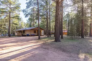 2190 Old Rim Rd, Forest Lakes, AZ 85931 - Photo 5
