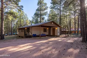 2190 Old Rim Rd, Forest Lakes, AZ 85931 - Photo 21