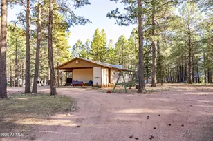 2190 Old Rim Rd, Forest Lakes, AZ 85931 - Photo 39