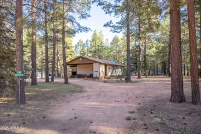 2190 Old Rim Road, Forest Lakes, AZ 85931 - Photo 3