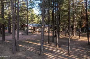 2190 Old Rim Rd, Forest Lakes, AZ 85931 - Photo 41