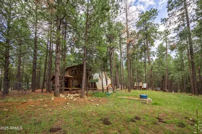 1643 Rifle Way, Forest Lakes, AZ 85931 - Photo 29