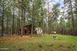 1643 Rifle Way, Forest Lakes, AZ 85931 - Photo 29