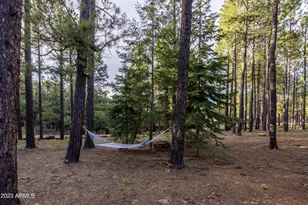 2772 Larson Loop, Forest Lakes, AZ 85931 - Photo 53