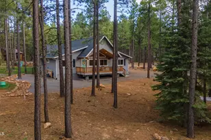 2772 Larson Loop, Forest Lakes, AZ 85931 - Photo 59