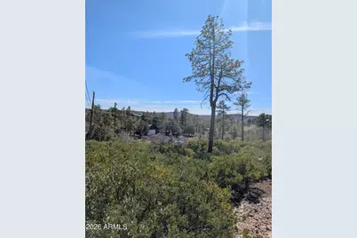 958 Navajo Trail #435, Show Low, AZ 85901 - Photo 11