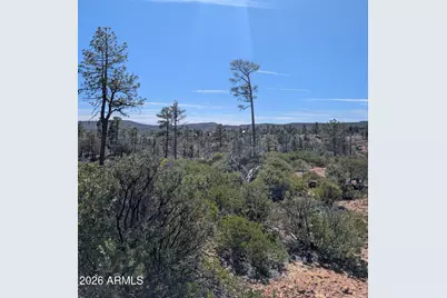958 Navajo Trail #435, Show Low, AZ 85901 - Photo 13