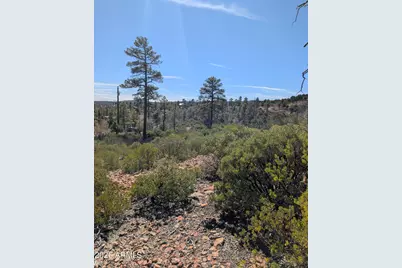 958 Navajo Trail #435, Show Low, AZ 85901 - Photo 3