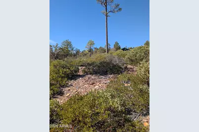 958 Navajo Trail #435, Show Low, AZ 85901 - Photo 5