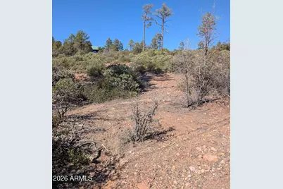 958 Navajo Trail #435, Show Low, AZ 85901 - Photo 7