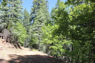 3500 E Sheldon Road #1, Prescott, AZ 86303 - Photo 5