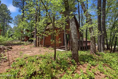 3829 Turkey Track Road, Pinetop, AZ 85935 - Photo 31