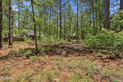 3829 Turkey Track Road, Pinetop, AZ 85935 - Photo 33