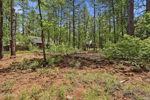 3829 Turkey Track Rd, Pinetop, AZ 85935 - Photo 33