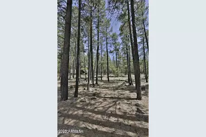 2682 Brahma Circle #-, Pinetop, AZ 85935 - Photo 3