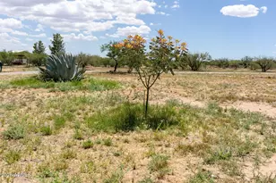 10847 S Kings Ranch Rd, Hereford, AZ 85615 - Photo 47