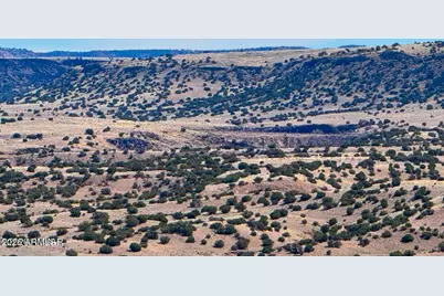 0 Co Rd 4008 (25 Acres) -- #-, Saint Johns, AZ 85936 - Photo 3