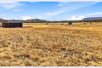 34 Cr 2100 -- #43, Alpine, AZ 85920 - Photo 5