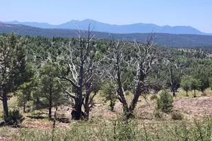 41 & 42 Antelope Trail, Payson, AZ 85541 - Photo 1