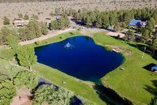 2334 Buffalo Loop N, Overgaard, AZ 85933 - Photo 23