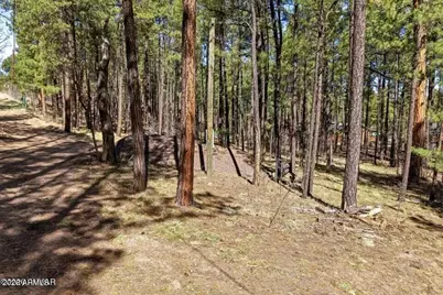11 County Road 2135 -- #n/a, Alpine, AZ 85920 - Photo 3