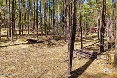 11 County Road 2135 -- #n/a, Alpine, AZ 85920 - Photo 5