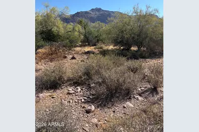 10890 E Cactus View Circle #9, Gold Canyon, AZ 85118 - Photo 1