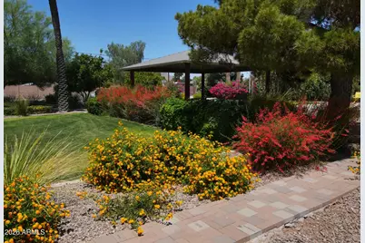 8204 E Monterey Way, Scottsdale, AZ 85251 - Photo 5