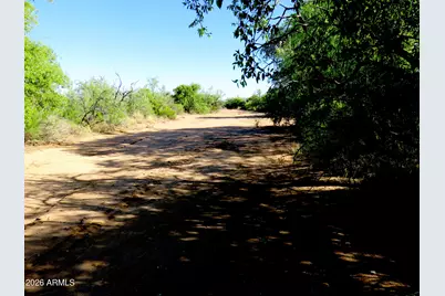 Tbd N Last Trail #55, Elfrida, AZ 85610 - Photo 13