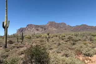 53 N La Barge Rd, Apache Junction, AZ 85119 - Photo 41