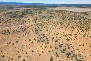 Tbd County Road 8643 --, Concho, AZ 85924 - Photo 1