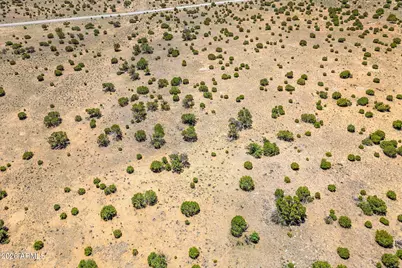 Tbd County Road 8643 -- #188, Concho, AZ 85924 - Photo 7