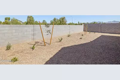 26049 W Lynne Lane, Buckeye, AZ 85326 - Photo 29
