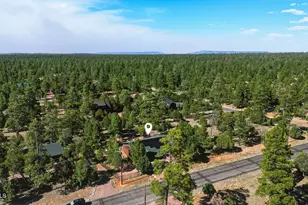 3322 Durango Dr, Happy Jack, AZ 86024 - Photo 41