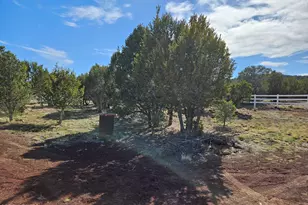 8400 N Red Lake Rd, Williams, AZ 86046 - Photo 37