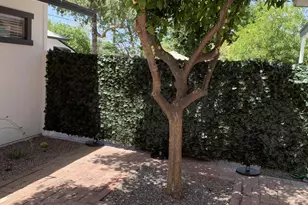 1317 W Glenrosa Ave, Phoenix, AZ 85013 - Photo 7