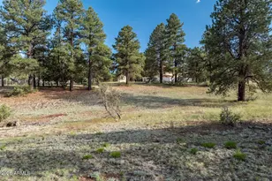 8550 N Pleasant Valley Way, Flagstaff, AZ 86004 - Photo 3