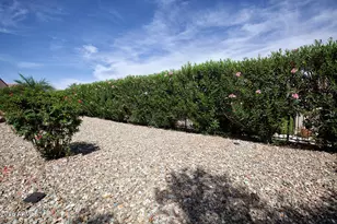 26964 W Oraibi Dr, Buckeye, AZ 85396 - Photo 69