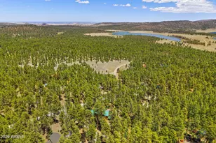 48 N County Road N1068 St, Greer, AZ 85927 - Photo 33
