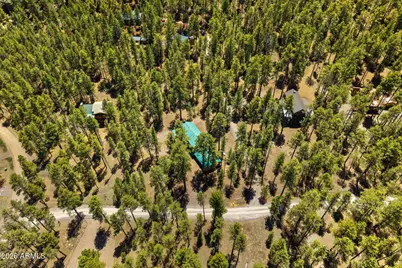 48 N County Road N1068 Street, Greer, AZ 85927 - Photo 31