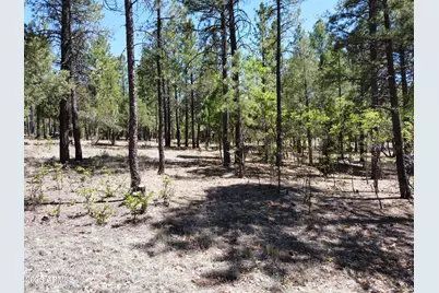 4450 Blackfoot Circle #415, Happy Jack, AZ 86024 - Photo 3
