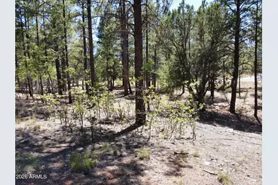 4450 Blackfoot Circle #415, Happy Jack, AZ 86024 - Photo 5