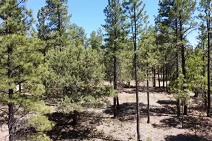 4450 Blackfoot Cir, Happy Jack, AZ 86024 - Photo 1