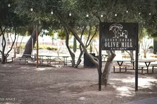 920 W Lowell Dr., San Tan Valley, AZ 85140 - Photo 27
