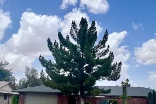 18850 N 130th Ave, Sun City West, AZ 85375 - Photo 1