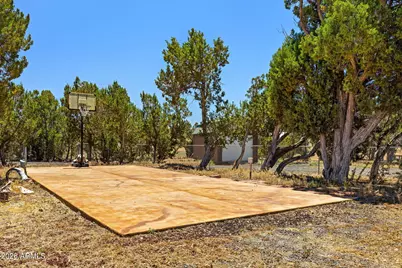 1740 Stinson Lane, Show Low, AZ 85901 - Photo 37