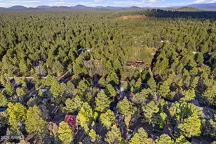 5330 Branding Iron Loop, Pinetop, AZ 85935 - Photo 47
