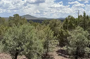 26 Acr 3027, Vernon, AZ 85940 - Photo 43
