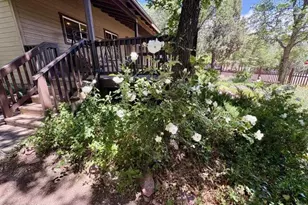 8206 W Parkinson Dr, Strawberry, AZ 85544 - Photo 57