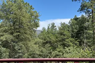 6830 W Mogollon Vista, Pine, AZ 85544 - Photo 29